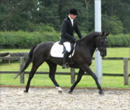 Westoak Eclaire at Moulton College dressage Competition